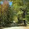 Windham Hill Rd