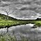 Milton Swamp