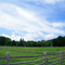 Billings Farm & Museum, Woodstock, Vermont