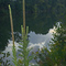 Above the Dam
