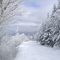 Deer Run - Burke Mountain