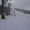Riding the Poma