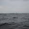 A blue sail in the distance 1