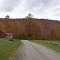 The leaves have turned on Turner Road - October 2012