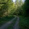 Fire road 279a