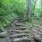 Stair master, anyone?