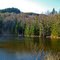 Pond in early April