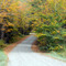 Near Woodbury, Vermont