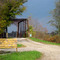 Greene Sullivan State Park