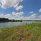 Reservoir 29, GreeneSullivanStateForest