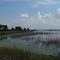 Goose pond N. end too
