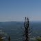 Whiteface/Sterling Summit