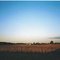 Country Field at Sunset