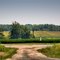 Soybean and Corn Fields at the corner of Hickory Ave outside Old Ripley, IL.