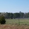 repo men:field