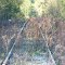 Former C of G tracks out of service facing south