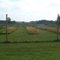 Seed beds at Midewin Tallgrass Prairie along the Twin Oak Trail