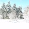 Winter In Springfield