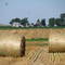 Straw Bales and Windrows