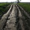 Muddy Elva Road