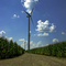 Windmill Farm