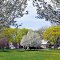 Cleveland School - Skokie - Spring 2013