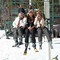 The Pines