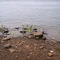Bloomington, Lake Monroe