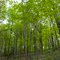 Brown County, Indiana