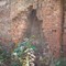 Old brick house