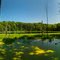 Chain-o-lakes State Park