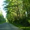 Road to the beach