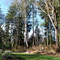 Hutchinson Memorial Park