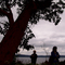 A southwest-Camano-Island-evening