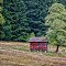 The Lone Building on Whidbey Island