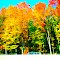 University of Wisconsin-Madison Arboretum in Fall