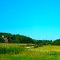Farm Near Verona