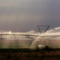 Evening Irrigation in the Columbia Basin