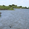 Looking north - Kent Narrows