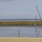Kent Narrows