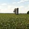 Silo in field on Kent Island, MD