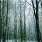 Winter on New Road