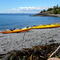 Dead mans bay, San Juan Island
