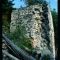 Lime Kiln Point, Wash. Pat Hathaway©1983   caviews.com