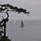Yacht Race