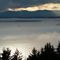 Foggy evening in Haro Strait