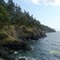 West Coast Shoreline, San Juan Island
