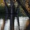 Ballston Creek on Irene's Morrow: The calmness of the flatwater surrounding Round Lake belies the power behind the tremendous volume of water as it ploughs its way to the Hudson River.