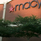 macy's