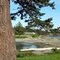 Lone Tree Point